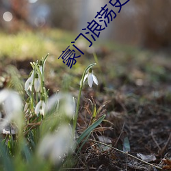 豪门浪荡史