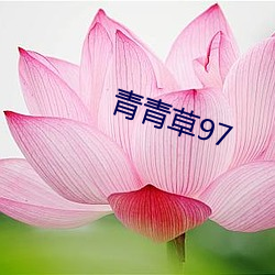 青青草97