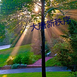 大唐新秩序