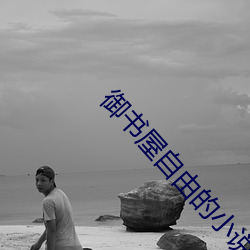 御书屋自由的小说阅读网(網) 3