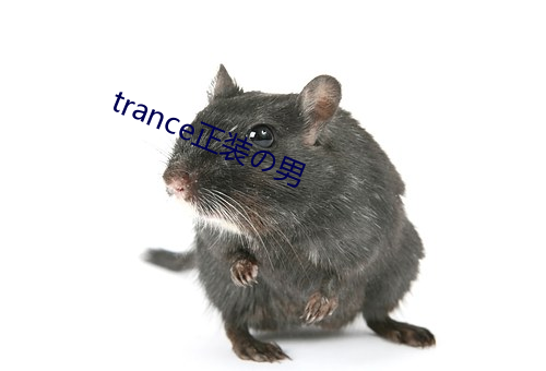 trance正装の男