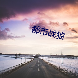 都市战(zhàn)狼