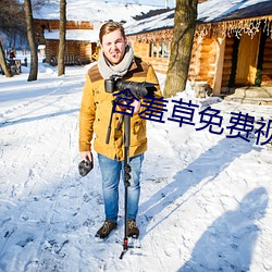 含羞(xiū)草免费视频
