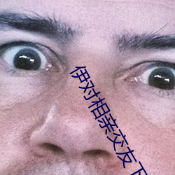 伊(伊)对相亲(親)交友下载