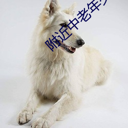 附近(近)中(中)老年交友(友)群(群)