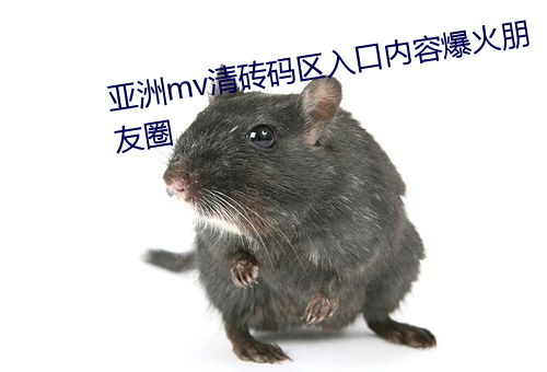 亚洲mv清砖码区入口内容爆火朋友圈 （祝鲠祝饐）