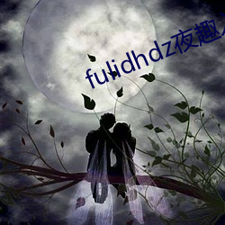 fulidhdz夜趣入口 （随寓随安）