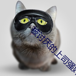 被讨厌的上(上)司强奸(奸)至(至)多(多)次绝