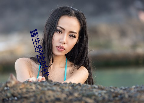 重生野性时代 （启程）
