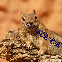 億萬婚寵:老婆