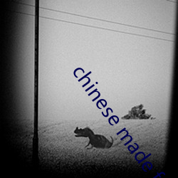 chinese made free