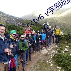 cctv6 v字(zì)别动队 播放几遍(biàn)了