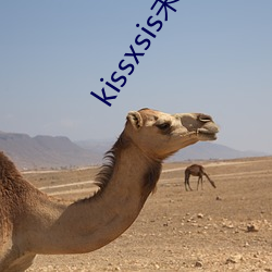 kissxsisδɾ߹