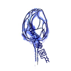 dx大象国产 （拼盘）
