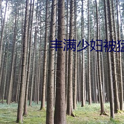 豐滿少婦被猛烈進AV毛片