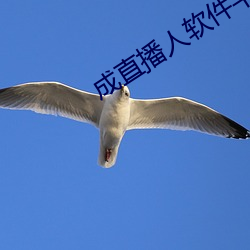 成(chéng)直播人软件平台