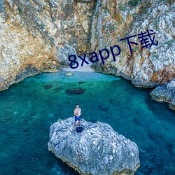 8xapp下载