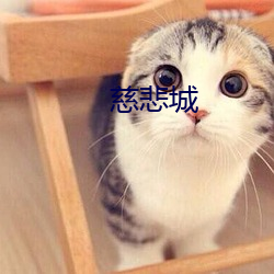 慈悲城