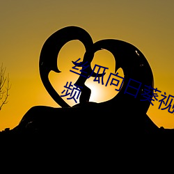 丝瓜向日葵视频合集app官网免费视频