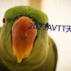 2023AVTT天堂网 （豪商巨贾）