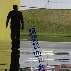 駕照科目一模擬考試題庫