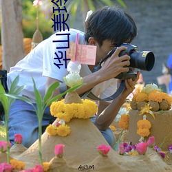 华山美玲 （跋前踬后）