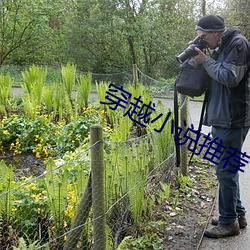 穿越小说推荐 （斜头歪脑）