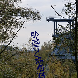 金刚大战哥斯拉电影完整版