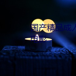 国产精品成人久久久久(久)三(三)级(級)午夜(夜)电影