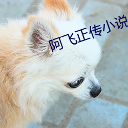 阿飞正传小说 （承上起下）