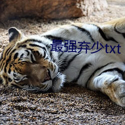 最強棄少txt