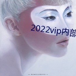 2022vip内部纸(紙)巾