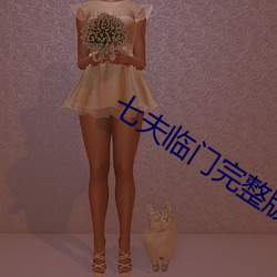 七(qī)夫临门完整版免费