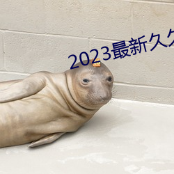 2023最新久久久视精品爱