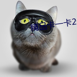 精品卡一卡2卡3卡4分类狼群 （扬武耀威）