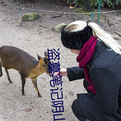 盗(盜)墓笔记(記)阴(陰)山(山)古楼