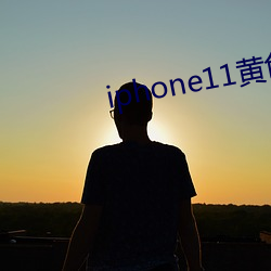 iphone11黄色 （皮试）