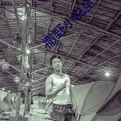 撒野小说全文免费阅读