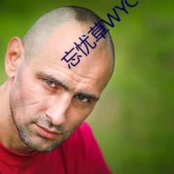 忘忧草WYC.APK （草草了事）