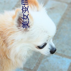 美(美)女变僵(僵)尸