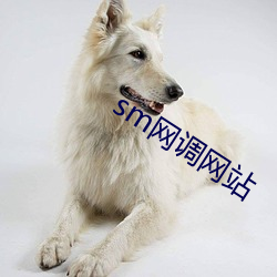 sm网(wǎng)调网站