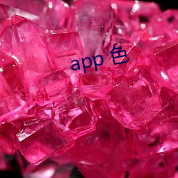 app 色