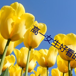 高一女生好看的jiojio