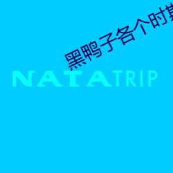 黑鸭(yā)子各个时期成员