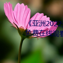 《亞洲2022無礦轉碼專區》高清免費在線觀看