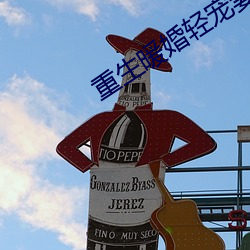 重生暖婚轻宠妻