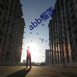 abb榴莲