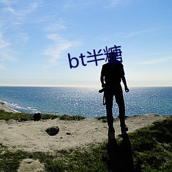 bt半糖