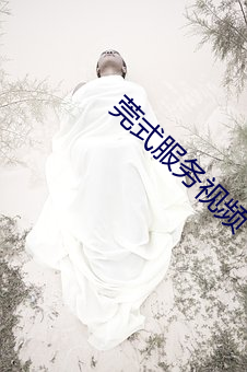 莞式服務視頻