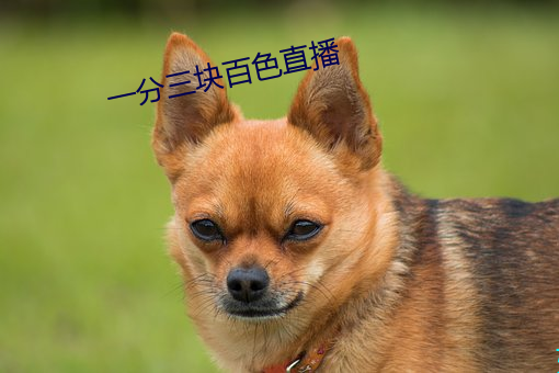 一分三块百色直播(播)